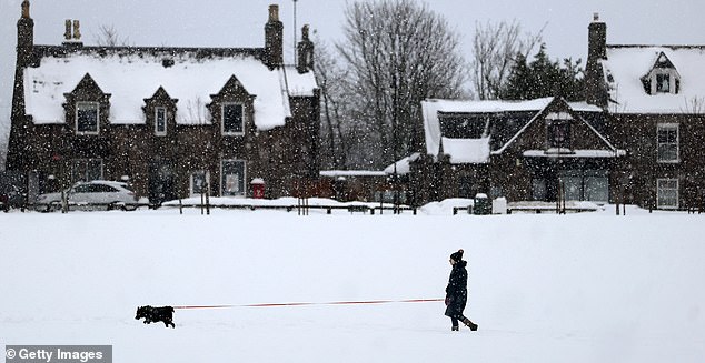 ABOYNE - JANUARY 07: A member of the public walks their dog in the snow on January 07, 2026 in Aboyne United Kingdom. The Met Office has given a weather warning of disruption to travel as many people return to work and school following the Christmas break. (Photo by Jeff J Mitchell/Getty Images)
