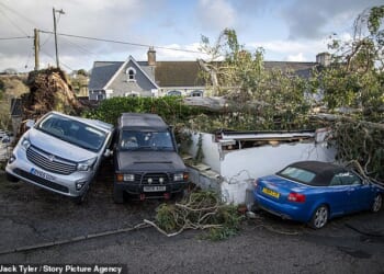 Fallen trees caused carnage during Storm Goretti on the roads in Falmouth, Cornwall. One Cornish man died during the storms after a tree crushed the caravan he was inside