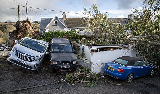 Fallen trees caused carnage during Storm Goretti on the roads in Falmouth, Cornwall. One Cornish man died during the storms after a tree crushed the caravan he was inside
