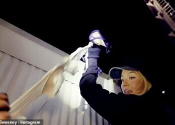 Sydney Sweeneycould face criminal charges after hanging bras on the Hollywood sign as part of a promotional stunt for her new lingerie line