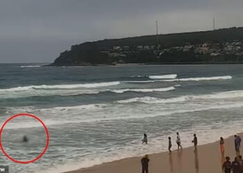 New footage from the latest attack shows the man being dragged from the water by other beachgoers who performed first aid until paramedics arrived