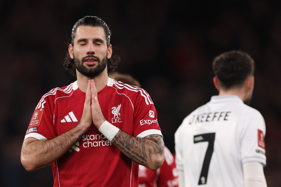 Liverpool v Barnsley - Emirates FA Cup Third Round