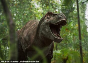 Scientists now believe the Tyrannosaurus rex (Pictured) lived well into their 40s (Stock Image)