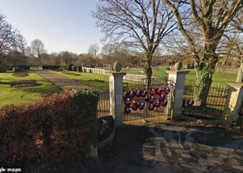 Three teenage boys laughed as they filmed themselves raping girls in an affluent town, a court has heard, with one of the alleged attacks taking place at Fordingbridge Recreation Ground (pictured) in Hampshire