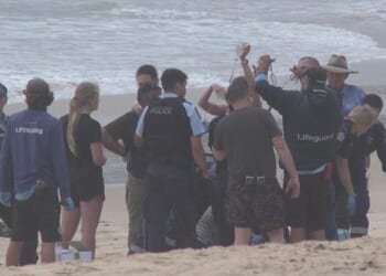 A young man has been attacked by a shark at Manly Beach and rushed to hospital