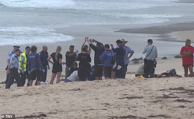 The man suffered serious injuries after being bitten on the leg at Manly and was helped by bystanders before paramedics arrived