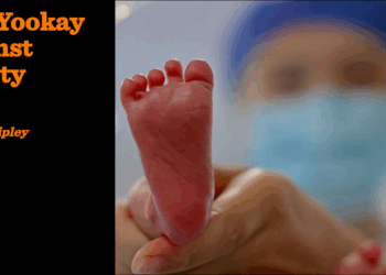 The Yookay against reality | David Shipley