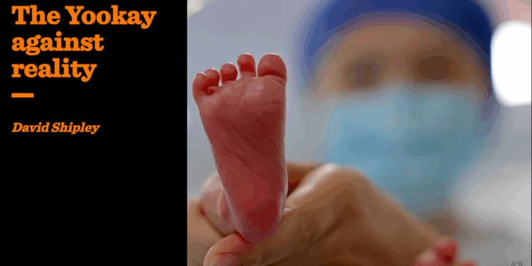 The Yookay against reality | David Shipley