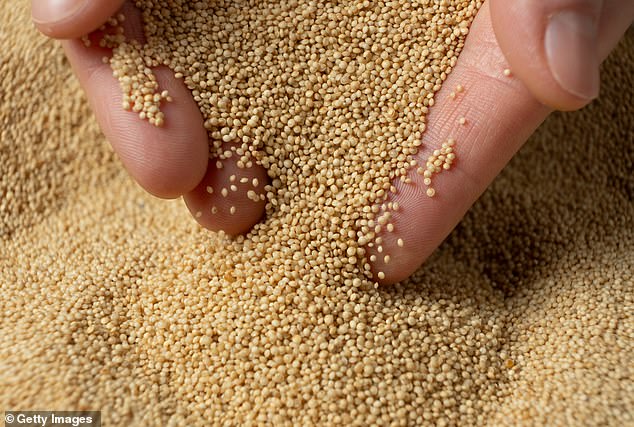 Amaranth was first cultivated by the Aztecs, but is prized today for its nutrient profile