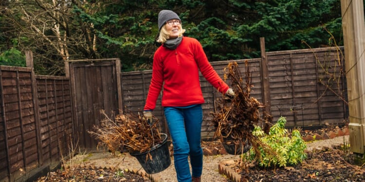 The three simple jobs to do now to get your garden prepped for spring