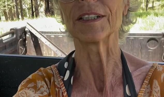 Thorn Birds star Rachel Ward on her cattle farm in New South Wales, Australia this week