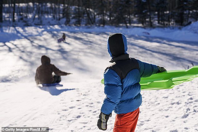 A man has died and his wife is critically injured after they plunged 250ft down a mountain when they took a wrong turn while riding a toboggan in the Austrian Alps (stock image)