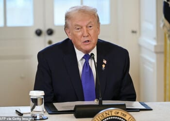 Donald Trump has been briefed on options for potential strikes on Iran, after he said he was 'ready to help' protesters facing a crackdown from the Ayatollah's regime