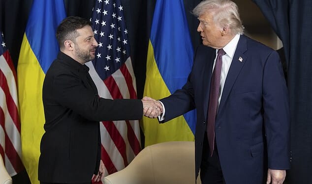 As Donald Trump (pictured, right) met Ukrainian president Volodymyr Zelensky (pictured, left) just an hour later, a thick layer of makeup could be seen on his hand, covering the apparent bruise up