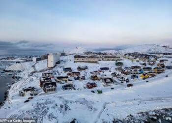 Americans aren't so set on Donald Trump taking military action or enacting regime change in Greenland despite the president making it clear that could be a next target after Venezuela