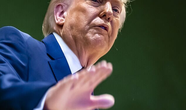 Trump voices disapproval over Alex Pretti shooting and gives Minneapolis migrant ultimatum: 'I don't like it'