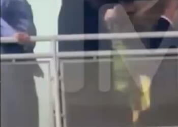 Trump flipped off a heckler accusing him of protecting pedophiles during a Tuesday visit to a Ford factory