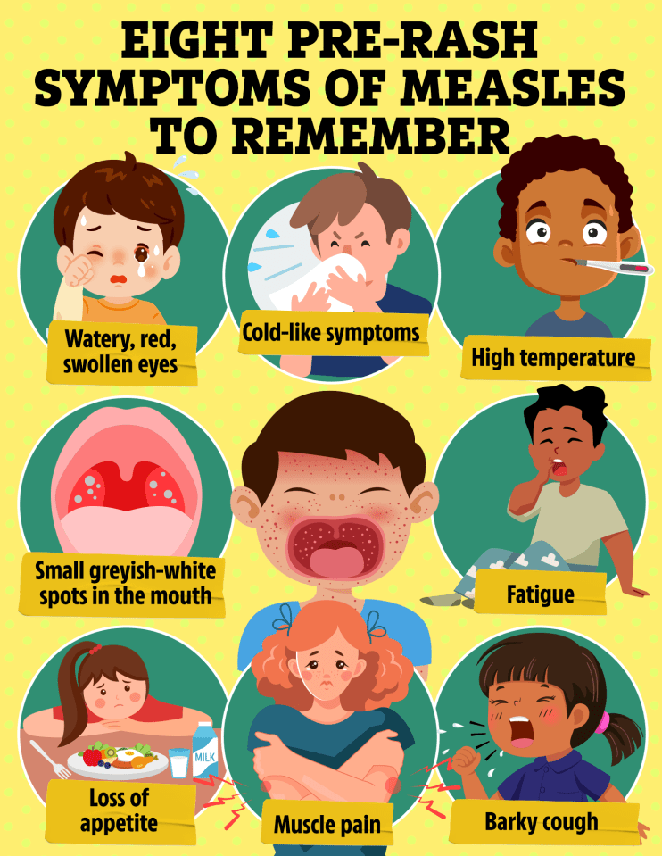 Illustration of eight pre-rash measles symptoms: watery, red, swollen eyes; cold-like symptoms; high temperature; small greyish-white spots in the mouth; fatigue; muscle pain; loss of appetite; and barky cough.