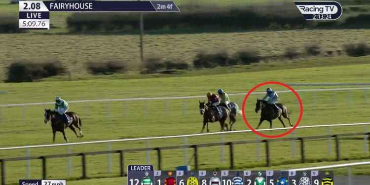 Unbelievable finish to race costs punters MASSIVE sum as Willie Mullins debutant stunned at 1-100 in-running