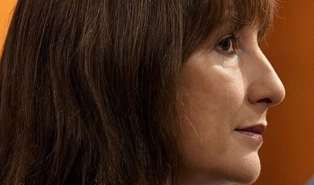 Sidelined: Rachel Reeves was dropped from the China trip despite helping to organise it