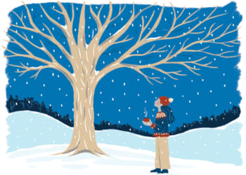 Warming up to winter: How I learned to lean into the season