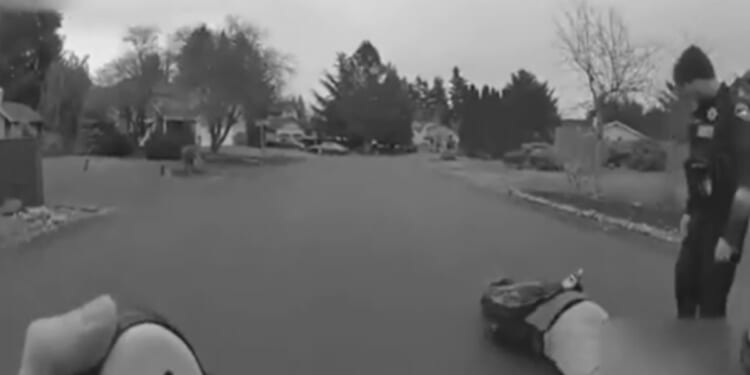 Heather Bevier, 37, faked a seizure during a Feb. 6, 2025, encounter with police in Bonney Lake, Washington.