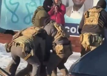 A woman, known as 'pink coat lady' online, who filmed the clearest footage of a protester being shot dead by immigration agents has filed a harrowing account of what she saw