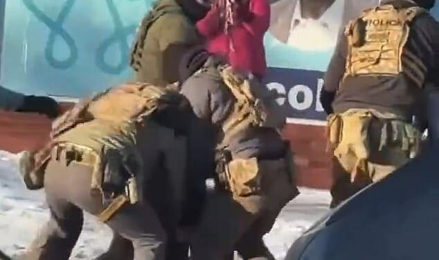 A woman, known as 'pink coat lady' online, who filmed the clearest footage of a protester being shot dead by immigration agents has filed a harrowing account of what she saw