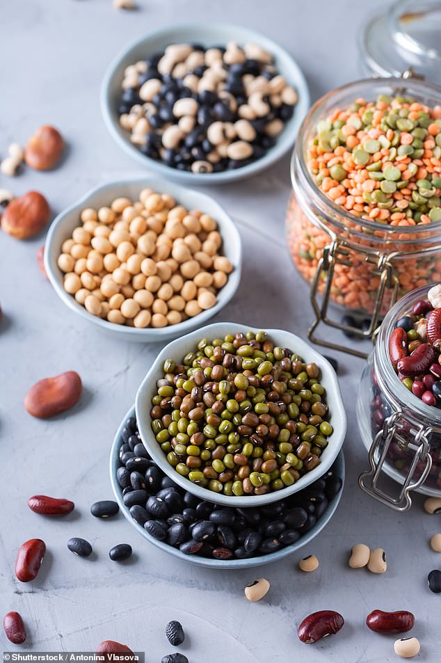Both groups ate a plant-forward diet containing vegetables, fruits and grains adding either 162g a day of minimally processed meat or the equivalent amount of protein from lentils, chickpeas, black beans and split peas