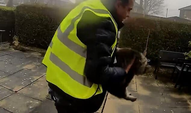 Doorbell footage shows a man wearing a high-vis jacket picking up the cat close to a property in Elland, near Halifax, West Yorkshire, on Sunday afternoon
