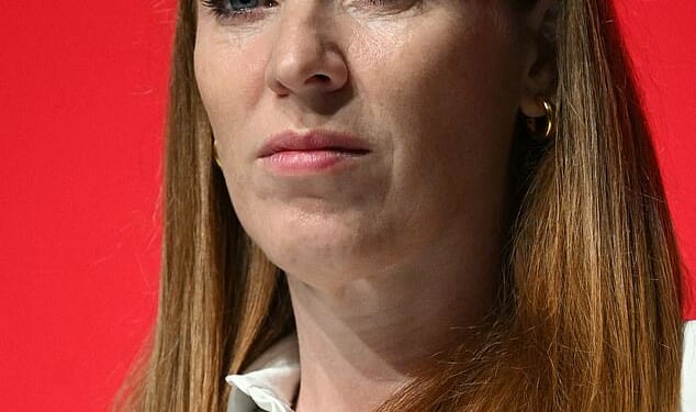 Health Secretary Wes Streeting (pictured on January 13) is regarded by Mr Burnham’s supporters