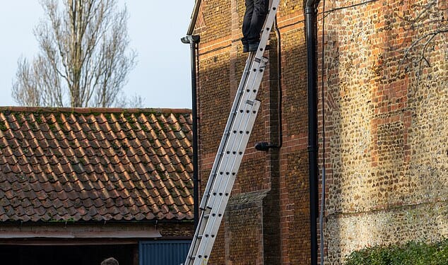A Sky engineer up a ladder against the wall of Marsh Farm. The technicians were wearing uniforms with Sky VIP written on them
