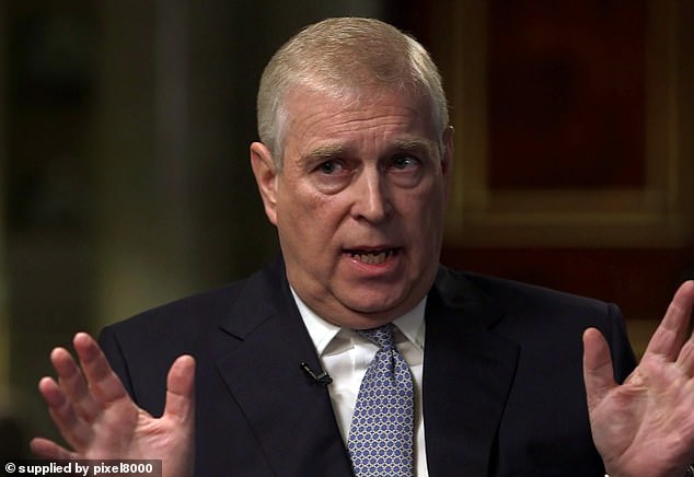 The former prince promised 'lots of privacy' to the convicted sex offender shortly after he was released from his jail term for soliciting a minor (file image)