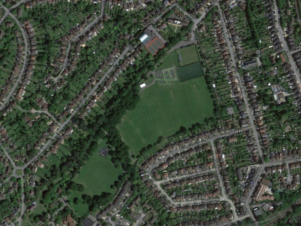 NINTCHDBPICT000284129096