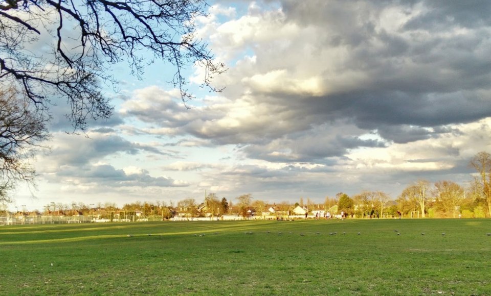 NINTCHDBPICT000284128894