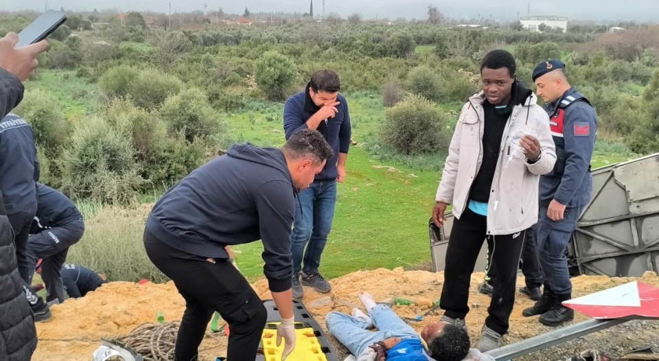 NINTCHDBPICT001055715239