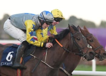 Huge controversy over result of DRF bumper as jockey eases up before post and throws away £35,000