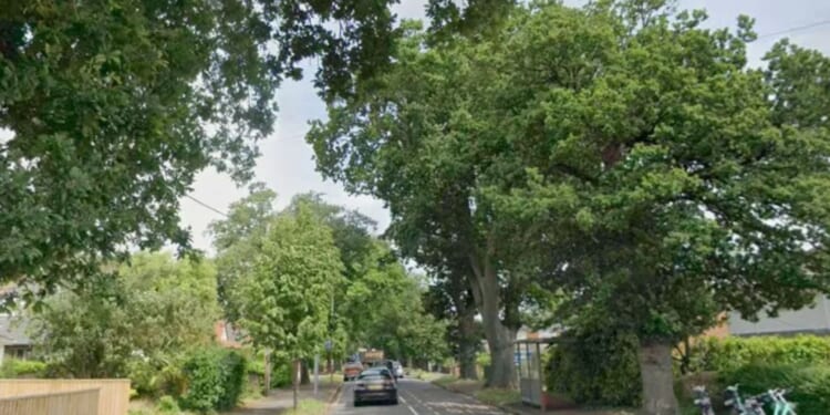 Moped rider dies in horror crash as cops launch urgent appeal for dashcam footage