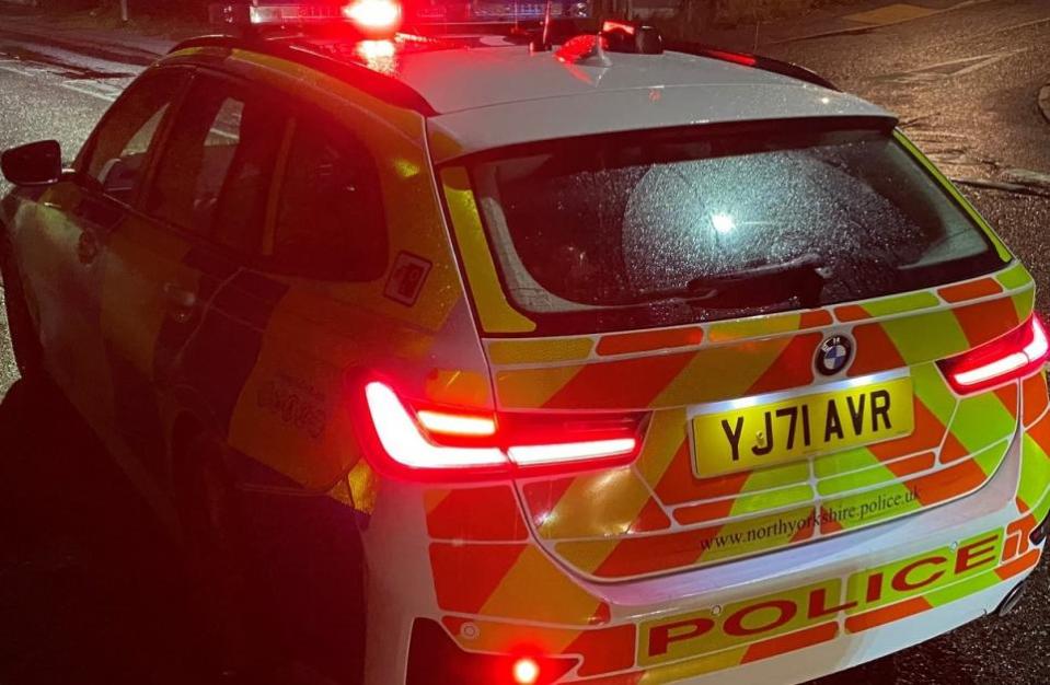 NINTCHDBPICT001055953996