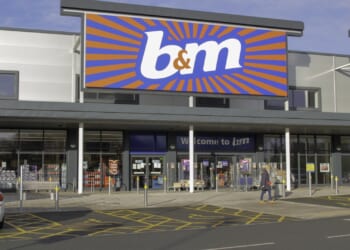 Guarantee a blooming spring garden with B&M’s £15 buy that shields your plants from heavy rain AND freezing temps