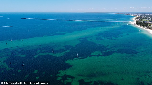 A 13-year-old boy who swam for four kilometres in dangerous swells to save his stranded family members has been hailed a hero (pictured is the Busselton Jetty in Geographe Bay)