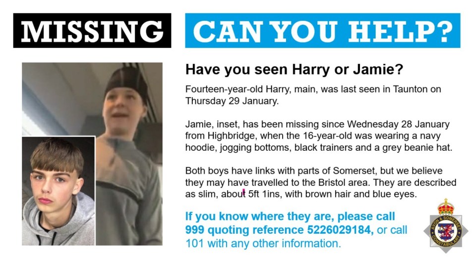 Missing persons poster for Harry and Jamie, featuring their photos and descriptions.