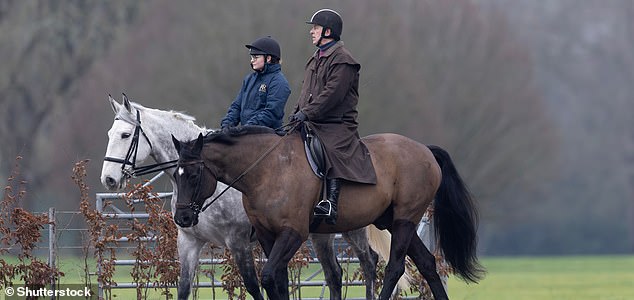 Mandatory Credit: Photo by Shutterstock (16500839f) Andrew Mountbatten-Windsor Horse riding Andrew Mountbatten-Windsor at Windsor Castle, UK - 02 Feb 2026