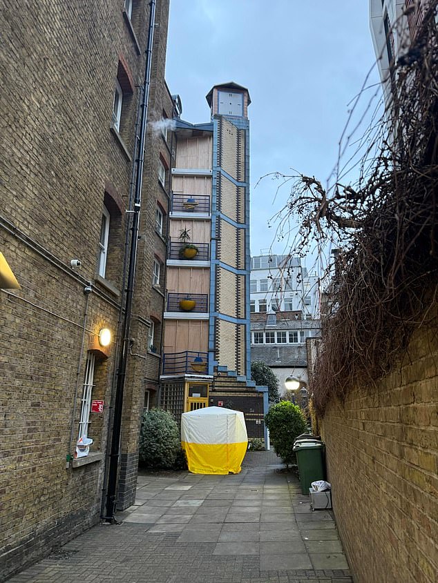 Mr Robbins died instantly after plunging five floors to the ground, his family has said