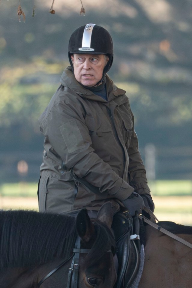 Prince Andrew on horseback wearing a helmet and a dark green jacket.
