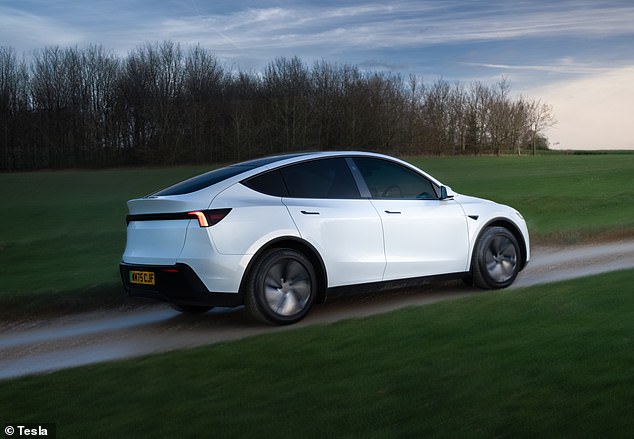 Even the latest Tesla cars - like the Model Y pictured - use the flush door handles, which electronically pop out when an owner unlocks the doors