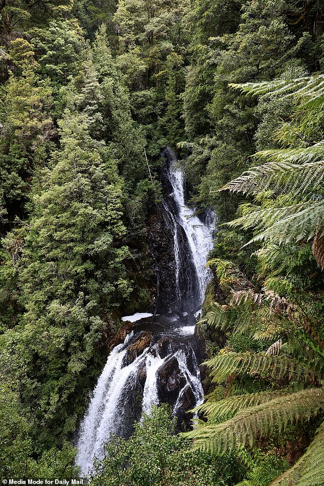 Celine had been hiking at Philosopher Falls near the town of Waratah