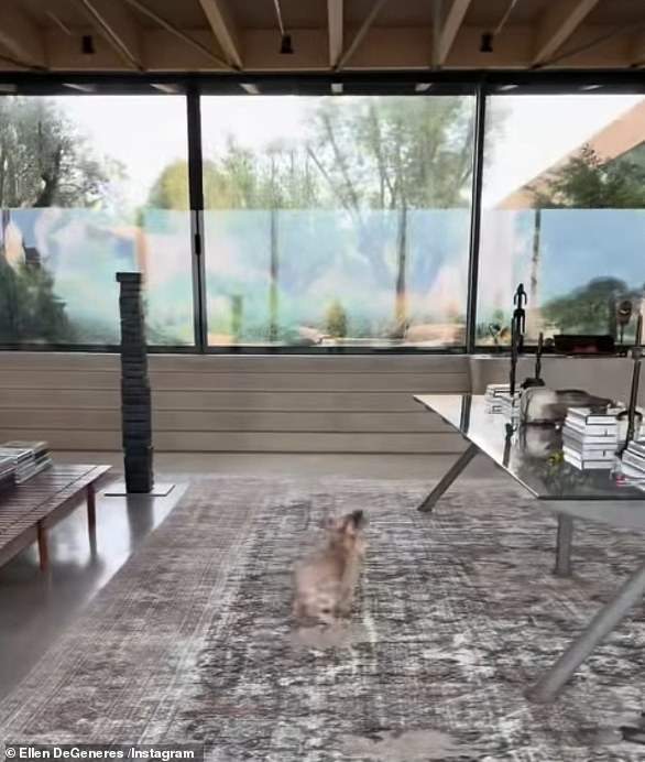 Floor-to-ceiling windows offer a generous view of the lush green backyard on an overcast day