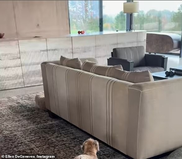 The overall color palette inside the house was ivory and a matte mocha latte beige