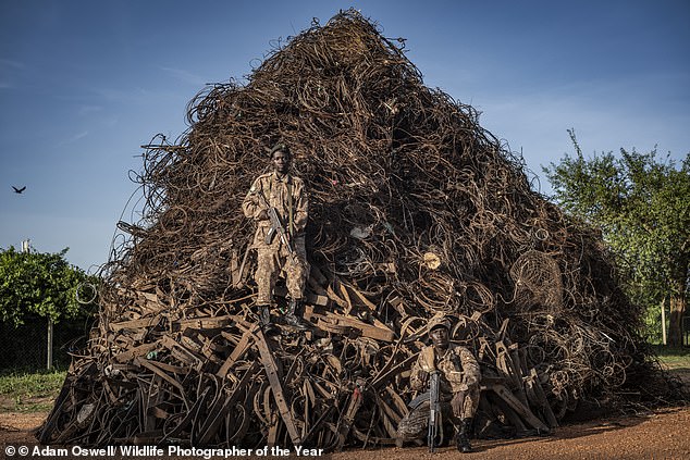 A mountainous pile of confiscated snares lies behind Uganda Wildlife Authority rangers